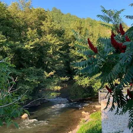 Villa River Island Torlakovac